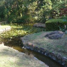 別所沼会館の前庭です。水の流れと植栽、芝生は、とても綺麗です