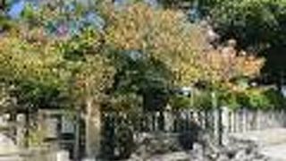 境内にいくつかの神社