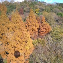 ロープウェイから