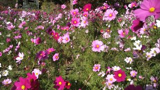 短時間の旅行気分を楽しめる！