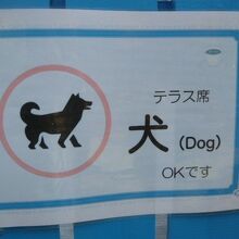 家族連れが多く、犬を連れた利用客もいます。犬の入店ＯＫです。