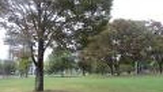 元々の古い地名が勝山だった。