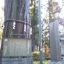 河口浅間神社