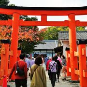 和歌の浦にある　玉津島神社