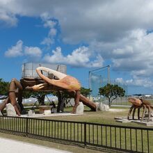 瀬長島カニ公園の遊具