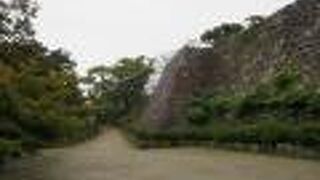 雨の中歩きました