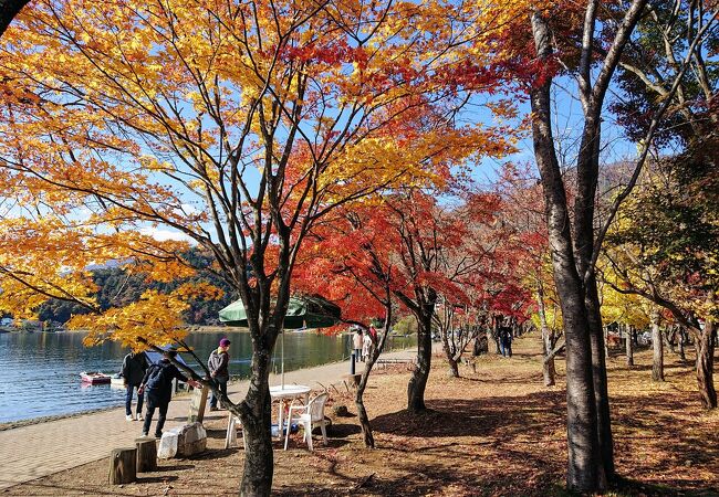 河口湖北岸ウォーキングトレイル クチコミ アクセス 営業時間 富士五湖 フォートラベル 河口湖北岸ウォーキングトレイル クチコミ アクセス 営業時間 富士五湖 フォートラベル