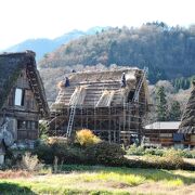 新高岡からバスで