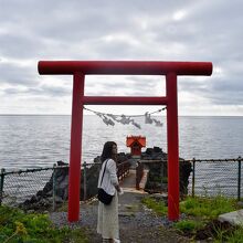 海に向かっていきなり現れる鳥居と祠