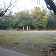 後谷公園の中には、高い樹々が多く、静かな環境を創っています。