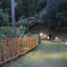 森の湯に通じるライトアップされた小路