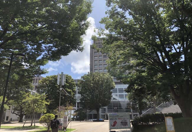 日本大学生物資源科学部 キャンパス クチコミ アクセス 営業時間 藤沢 江ノ島 フォートラベル