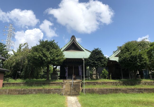 広い芝生の広場の奥に拝殿