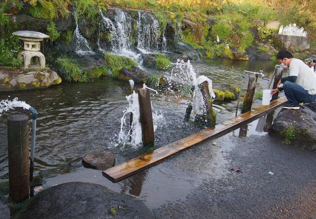 羊蹄山の湧き水 クチコミ アクセス 営業時間 真狩 京極 フォートラベル
