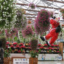 色とりどりの花