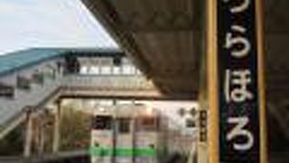 定期の特急が2系統走る