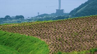 あわじ花さじき 