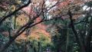 加賀一の宮神社です