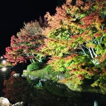 北入口に行く途中の紅葉