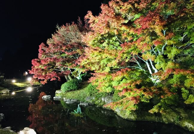 栗林公園秋のライトアップ クチコミ アクセス 営業時間 高松 フォートラベル 栗林公園秋のライトアップ クチコミ アクセス 営業時間 高松 フォートラベル