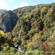 紅葉始まっていました