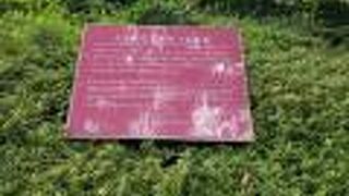 大岡越前忠相屋敷跡