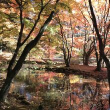 池の途中の景色