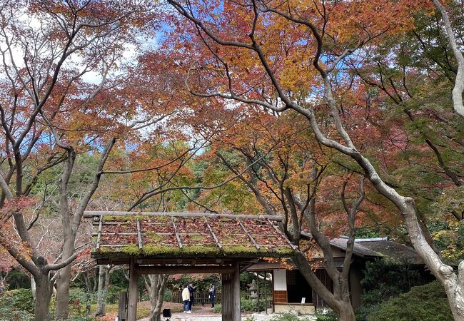 万博記念公園 日本庭園 クチコミ アクセス 営業時間 吹田 万博公園 フォートラベル 万博記念公園 日本庭園 クチコミ アクセス 営業時間 吹田 万博公園 フォートラベル