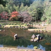 庭園の池泉