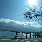 富士山を眺めながらサイクリングも