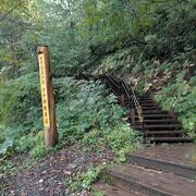 白神山地の世界遺産エリア内にある唯一の散策道