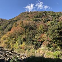 湯坂山をバックに流れる須雲川