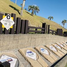 ユネスコ世界遺産…行ったところがたくさんあって懐かしかった