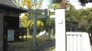 来年の七福神は・・・・・