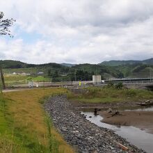 高田松原津波復興祈念公園からの途中には、かつての松林の残骸も