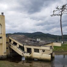 震災遺構となったYHとその向こうに見える奇跡の一本松。