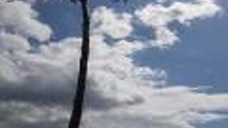 周辺の整備が進み、今では高田松原津波復興祈念公園からの遊歩道が出来ていました。