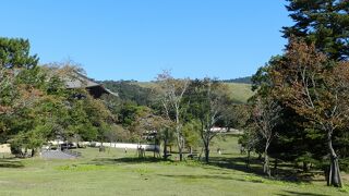 古都奈良を見下ろす