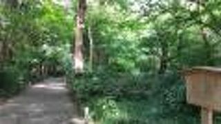 今はなき本丸のあと