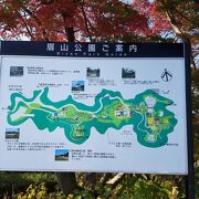 公園からの景色は絶景でした。