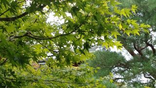 永観堂 (禅林寺) 