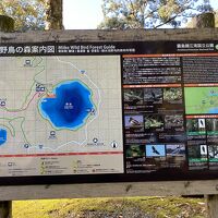 野鳥の解説など