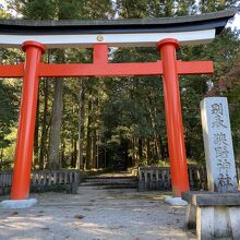 東参道の鳥居