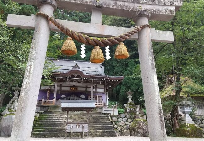 白川八幡神社 クチコミ アクセス 営業時間 白川郷 フォートラベル