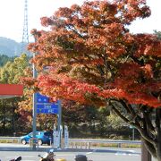 公園でくつろげるＳＡ　紅葉も奇麗です。