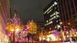 キラキラしていました。