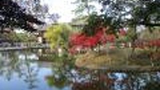 紅葉も見れてきれいでした