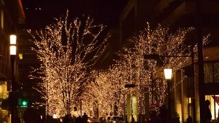 東京駅前の街路樹がまばゆいライトに包まれる