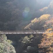 塔ノ沢橋のすぐ近く