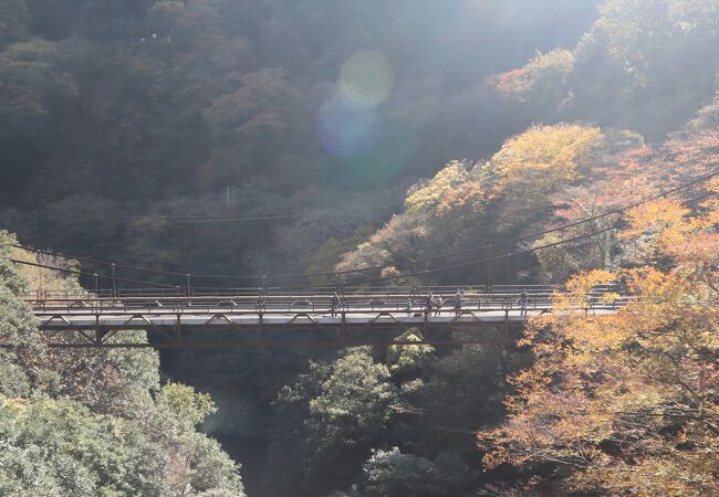 塔ノ沢橋のすぐ近く